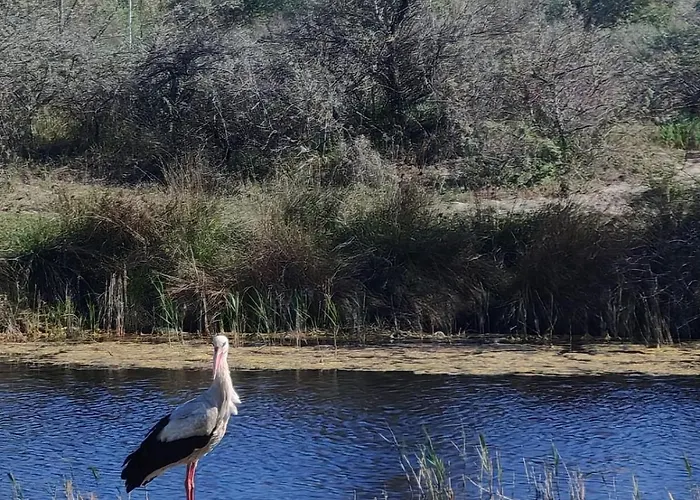 Gospodarstwo wiejskie Casa Valurile Marii