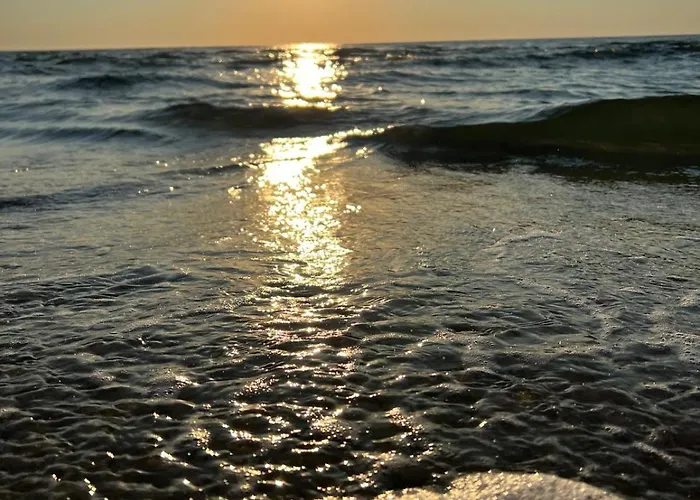 Gospodarstwo wiejskie Casa Valurile Marii Sfântu Gheorghe