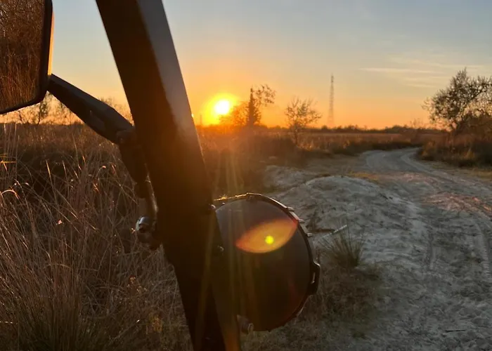 Casa Valurile Marii Gospodarstwo wiejskie