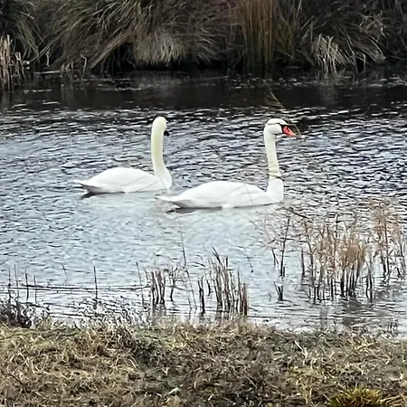 Casa Valurile Marii Landhuis Sfântu Gheorghe