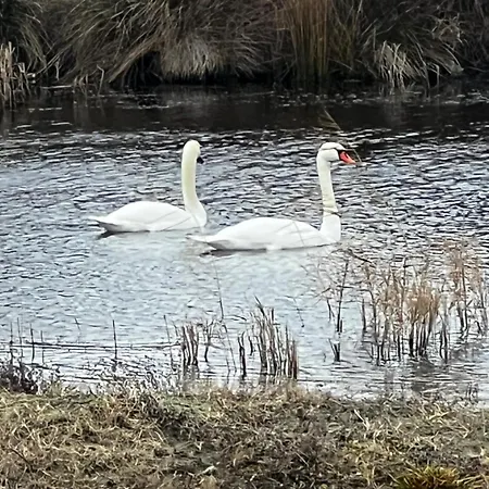 Casa Valurile Marii Lantställe Sfântu Gheorghe