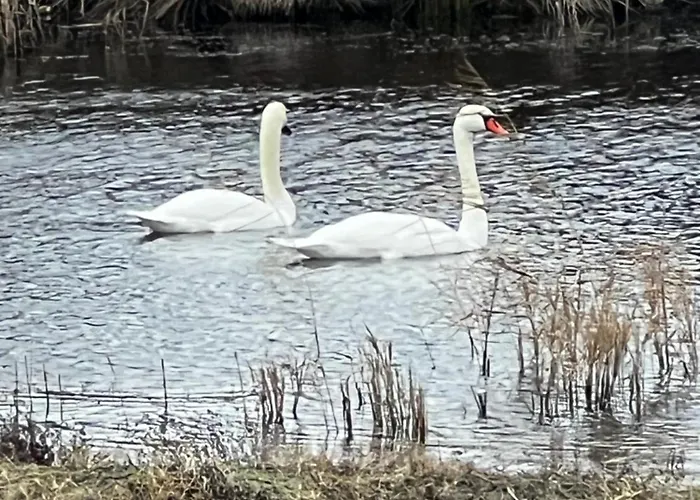 Casa Valurile Marii Lantställe Sfântu Gheorghe