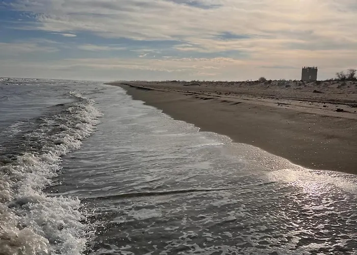 Летний дом Casa Valurile Marii